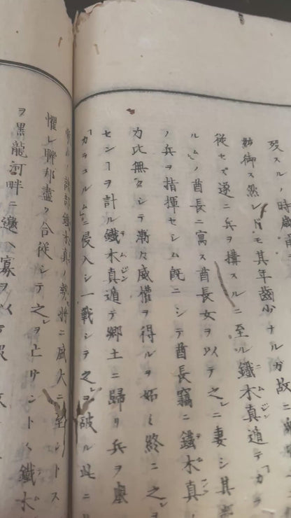 1874 Yochi Shiryaku 輿地誌畧 Illustrated Ethnographic Geography Book by Uchida Masao (18 x 26 cm)