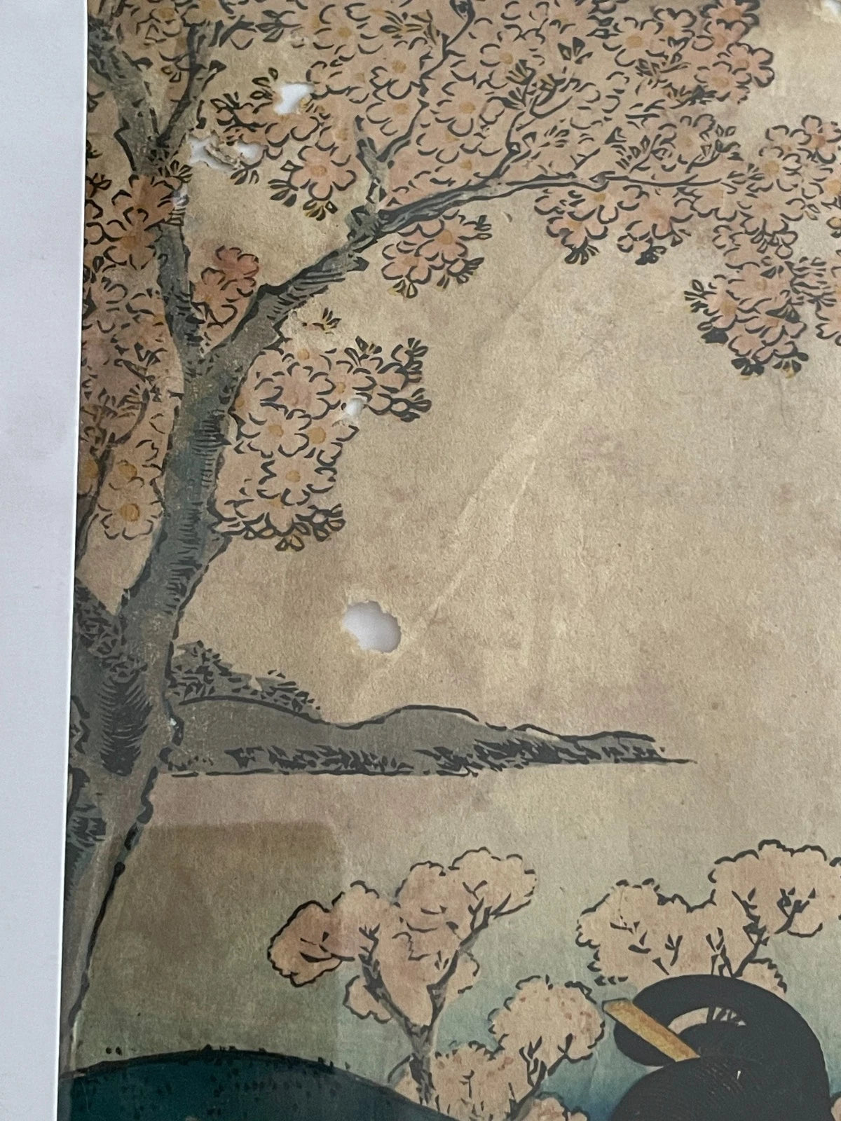 1854 Edo Era Ukiyo-e Set by Utagawa Kunisada. Beauties Admire Sakura in Kyoto. New A3 Preservation Frames