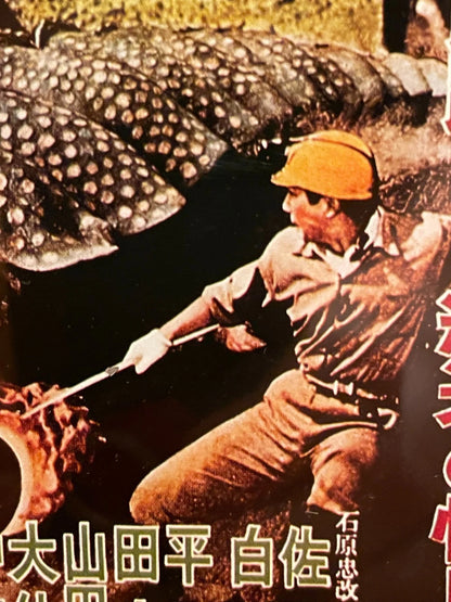 1956 Rodan Framed B5 Movie Flyer Kaiju Showa Retro Japan Postwar